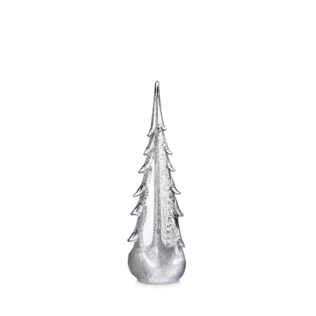 Silver Leaf Evergreen