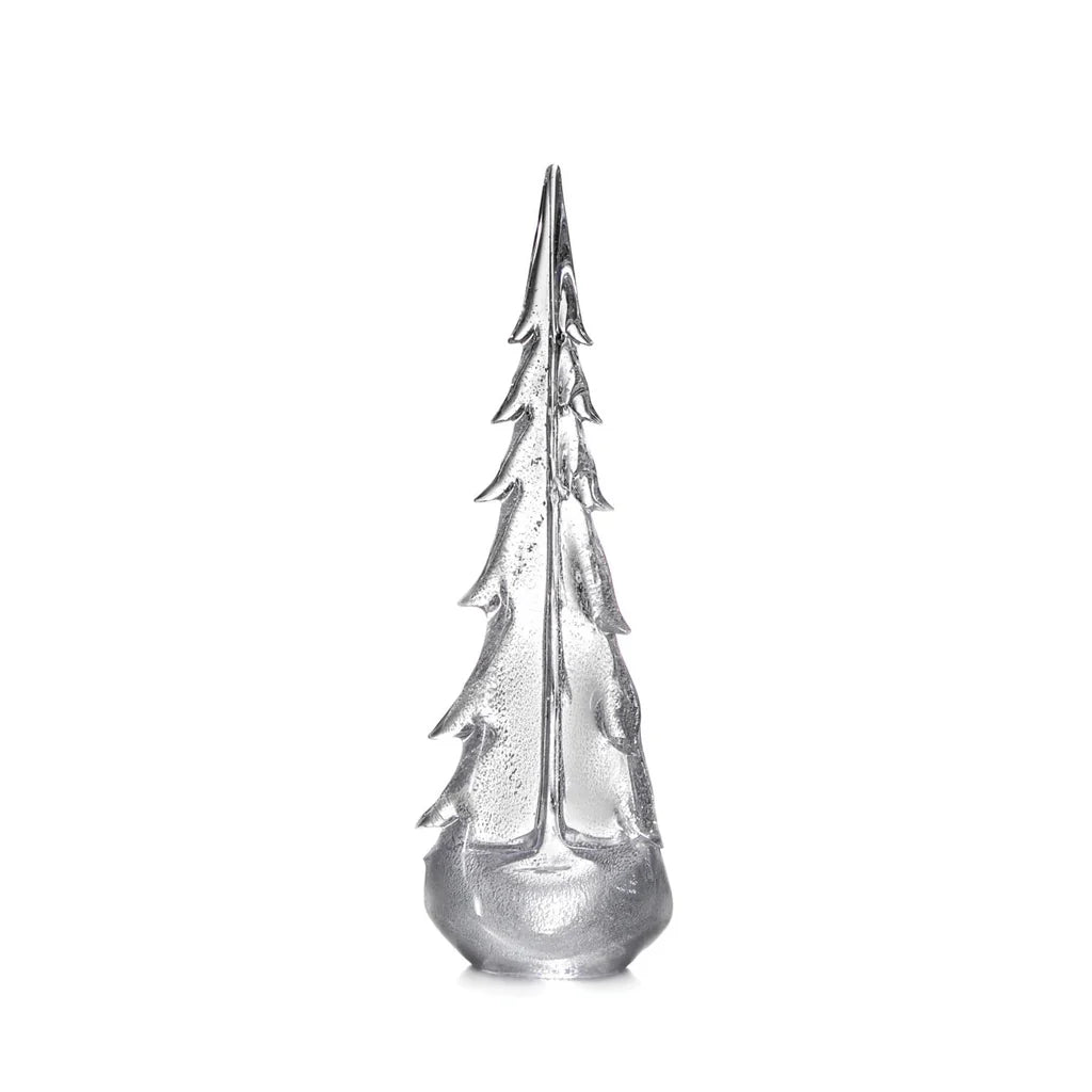 Silver Leaf Evergreen