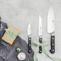 Pro 3-pc Starter Knife Set
