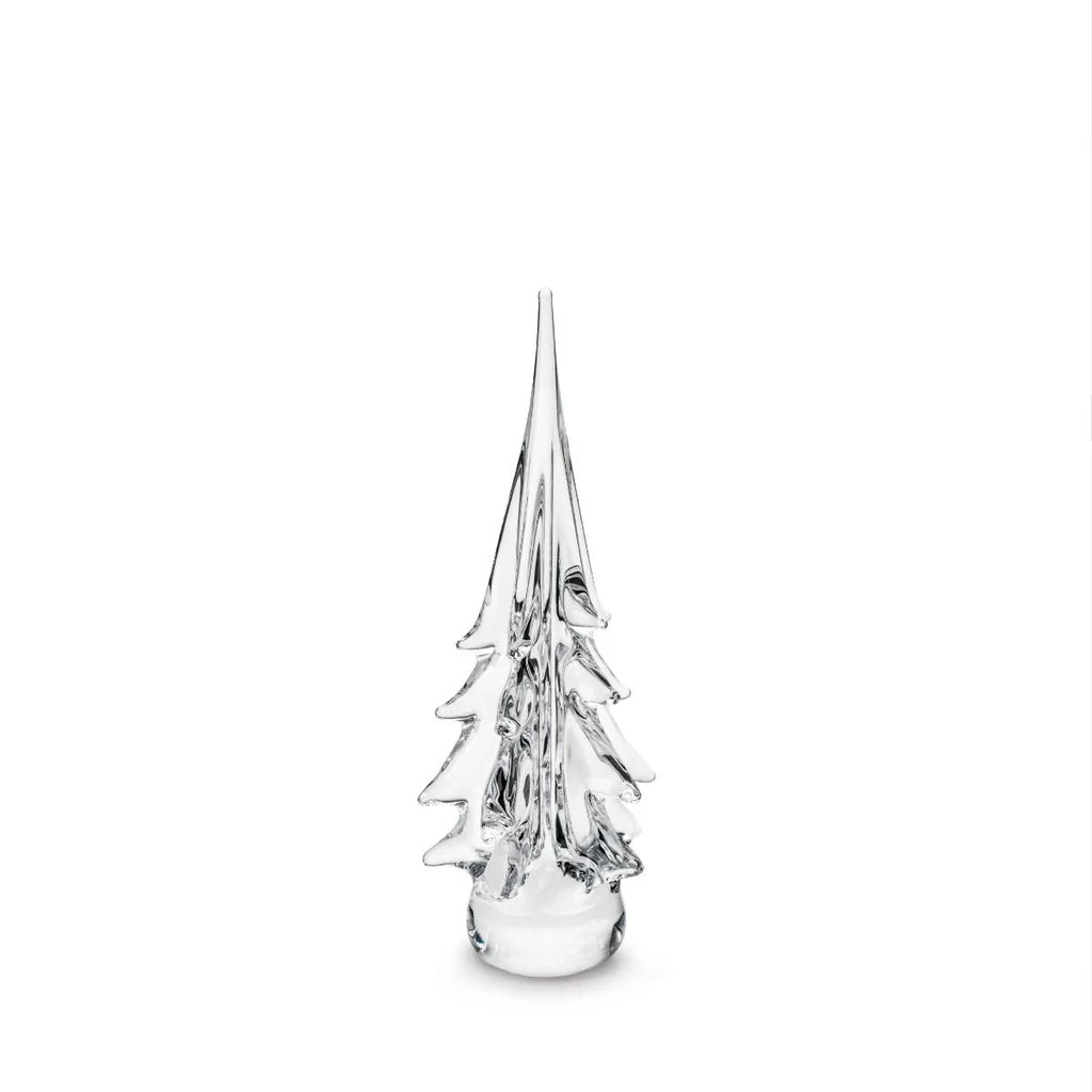 Spruce Evergreen