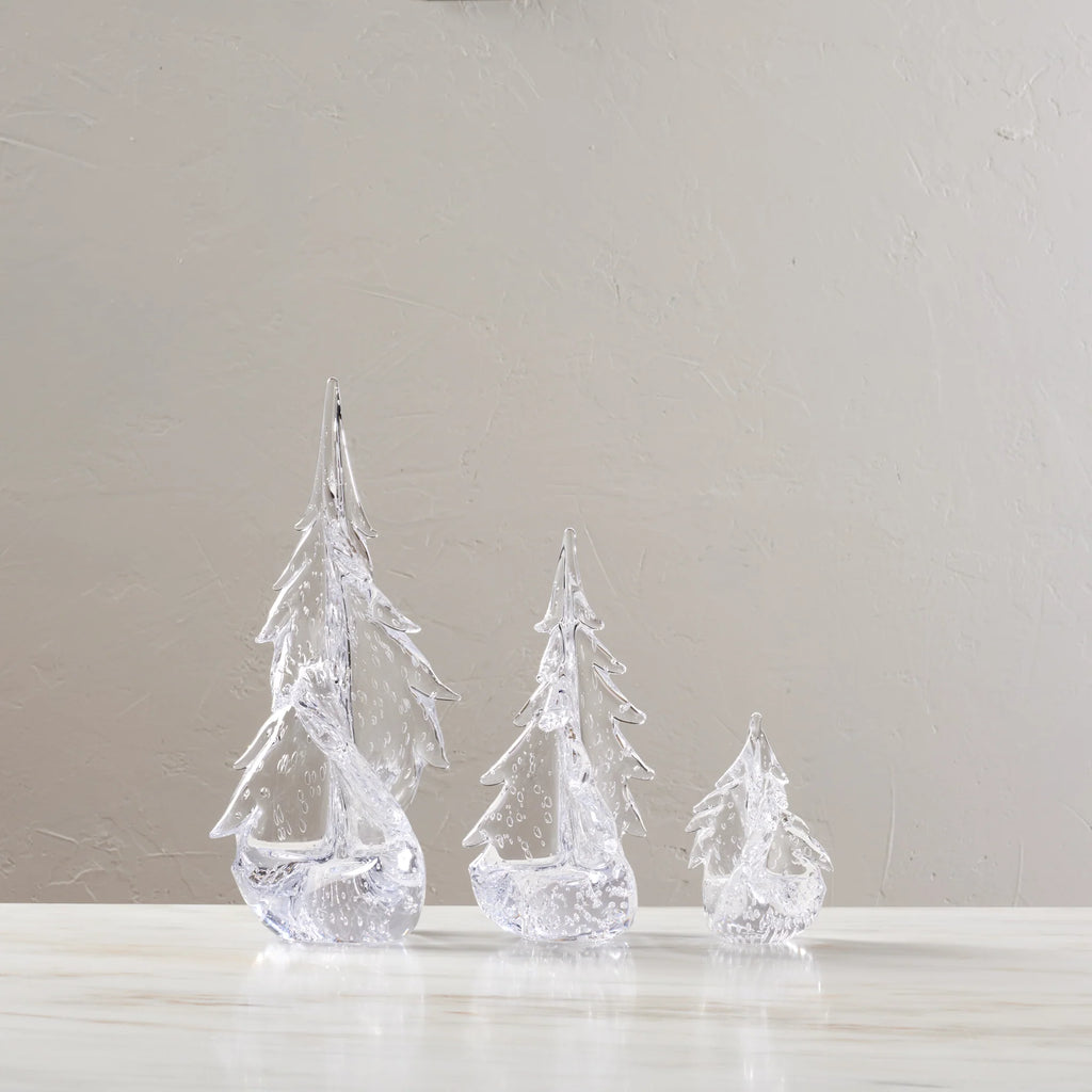 Bubble Twist Evergreen