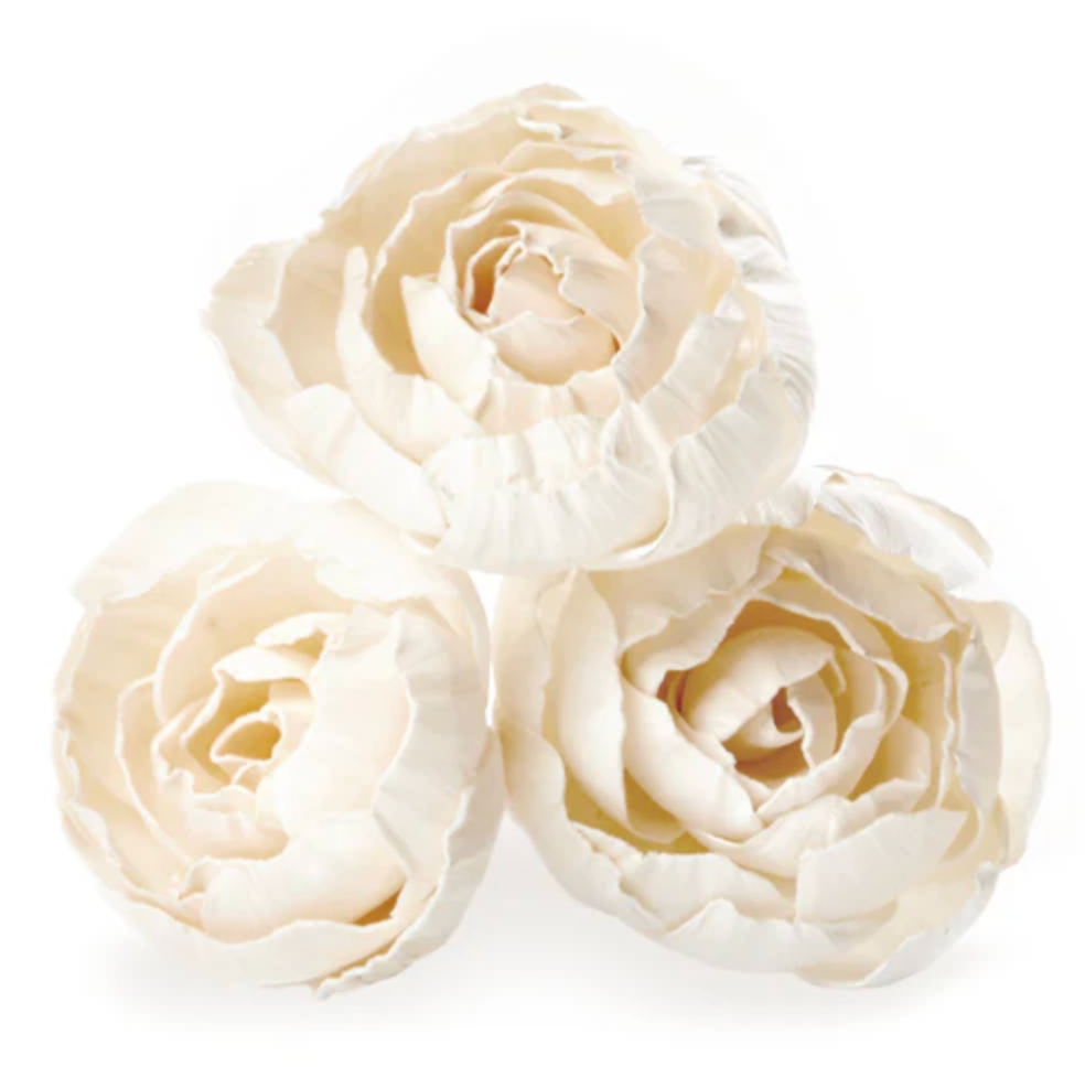 Diffuser Flower