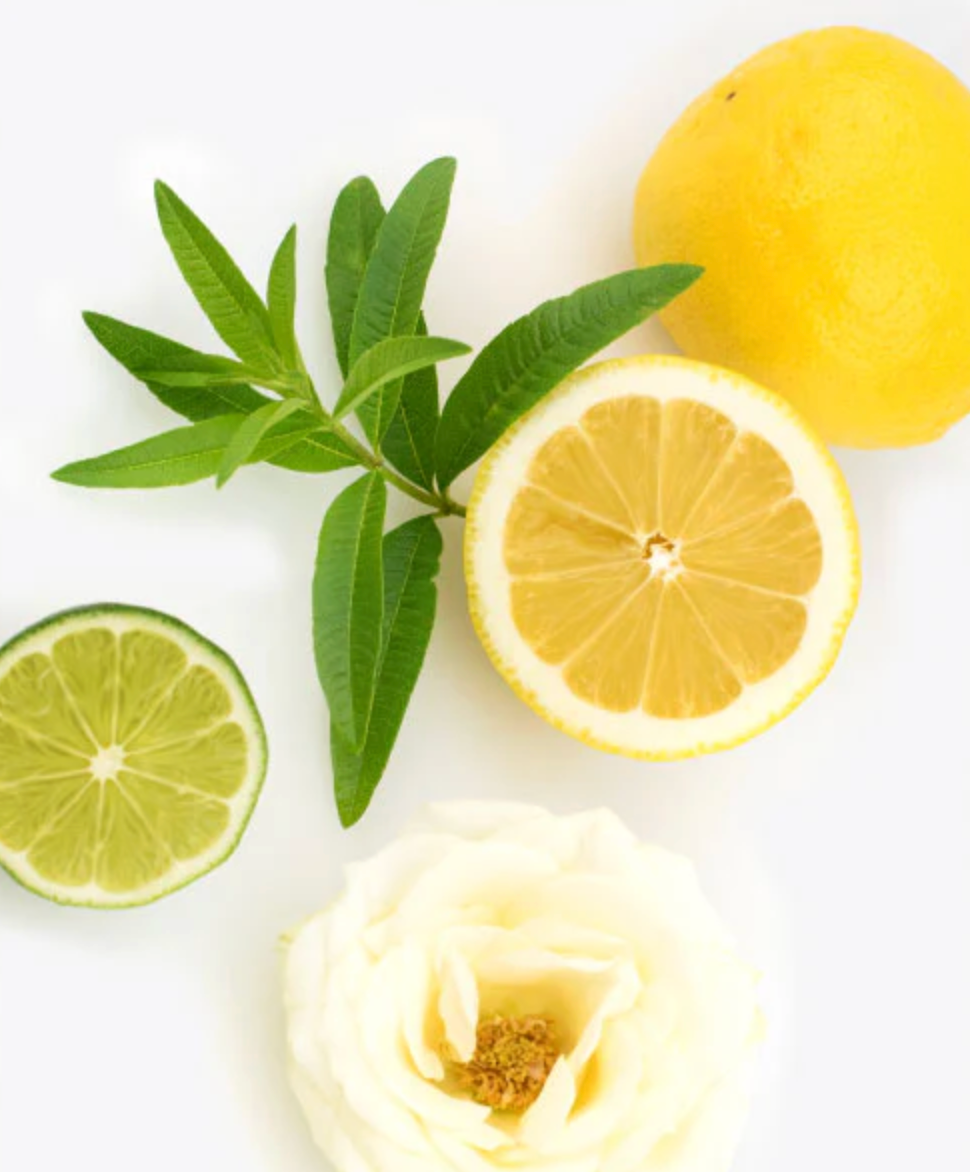 Lemon Verbena Conditioner