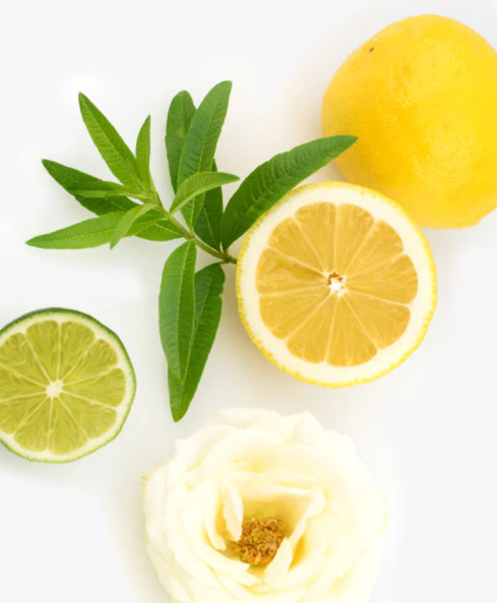 Lemon Verbena Hand Wash