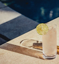 Havana 12 oz Hi-Ball