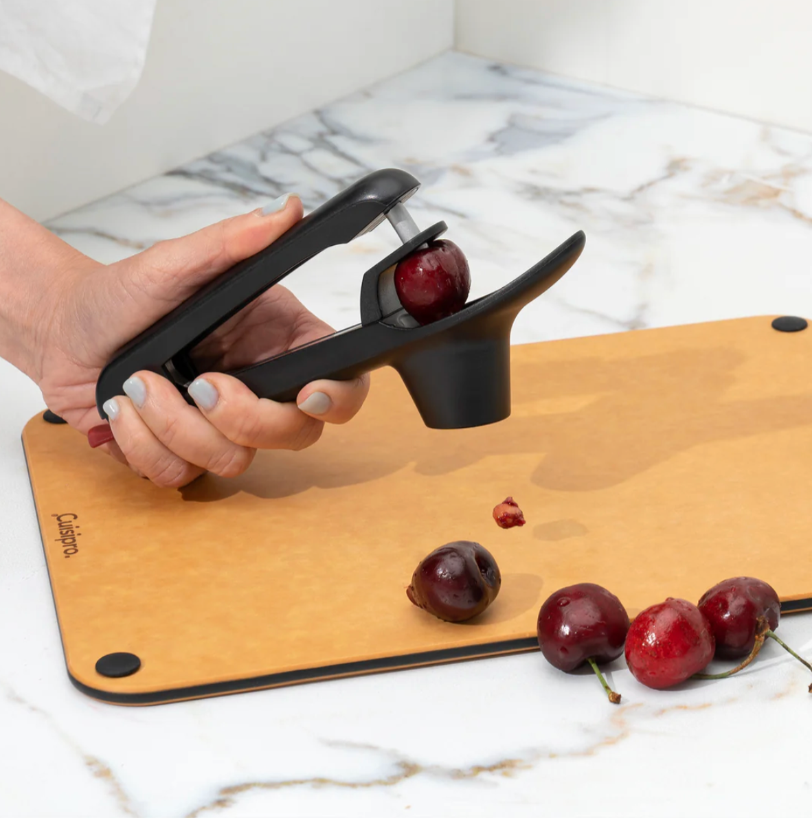 Cherry/Olive Pitter