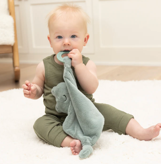 Teether Buddy Freddie the Frog