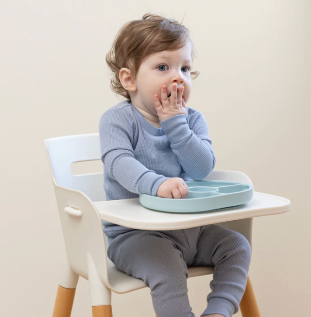 Hangry Wonder Plate Fog