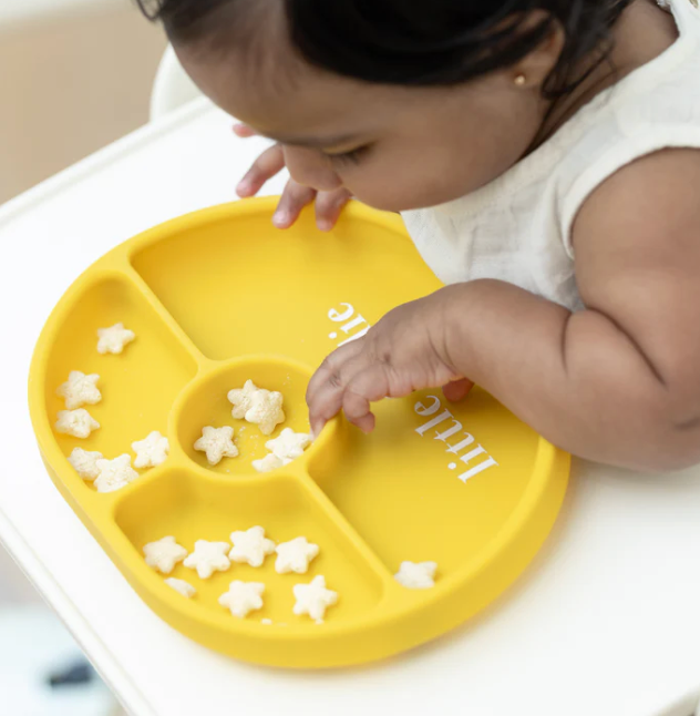 Wonder Plate : Little Foodie