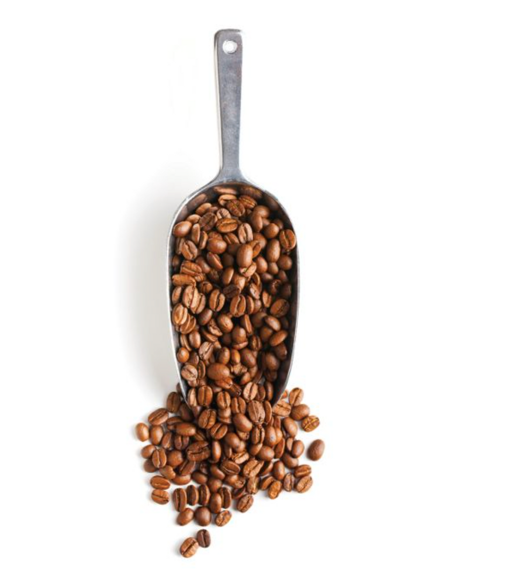 All Purpose / Coffee Scoop 5"