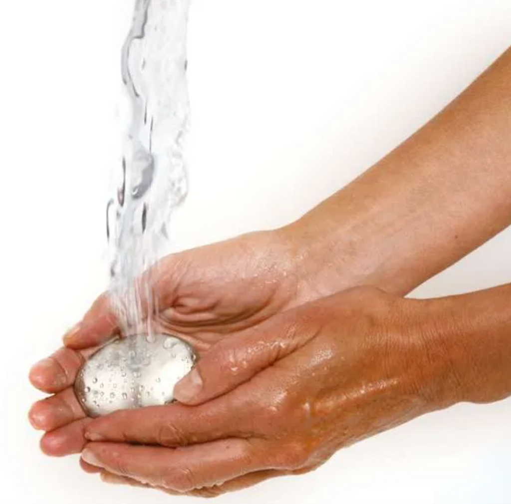 Onion Holder / Odor Remover