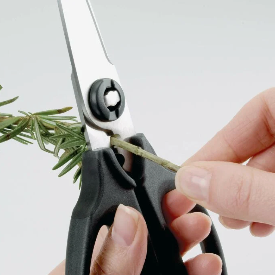 Oxo Kitchen and Herb Scissors