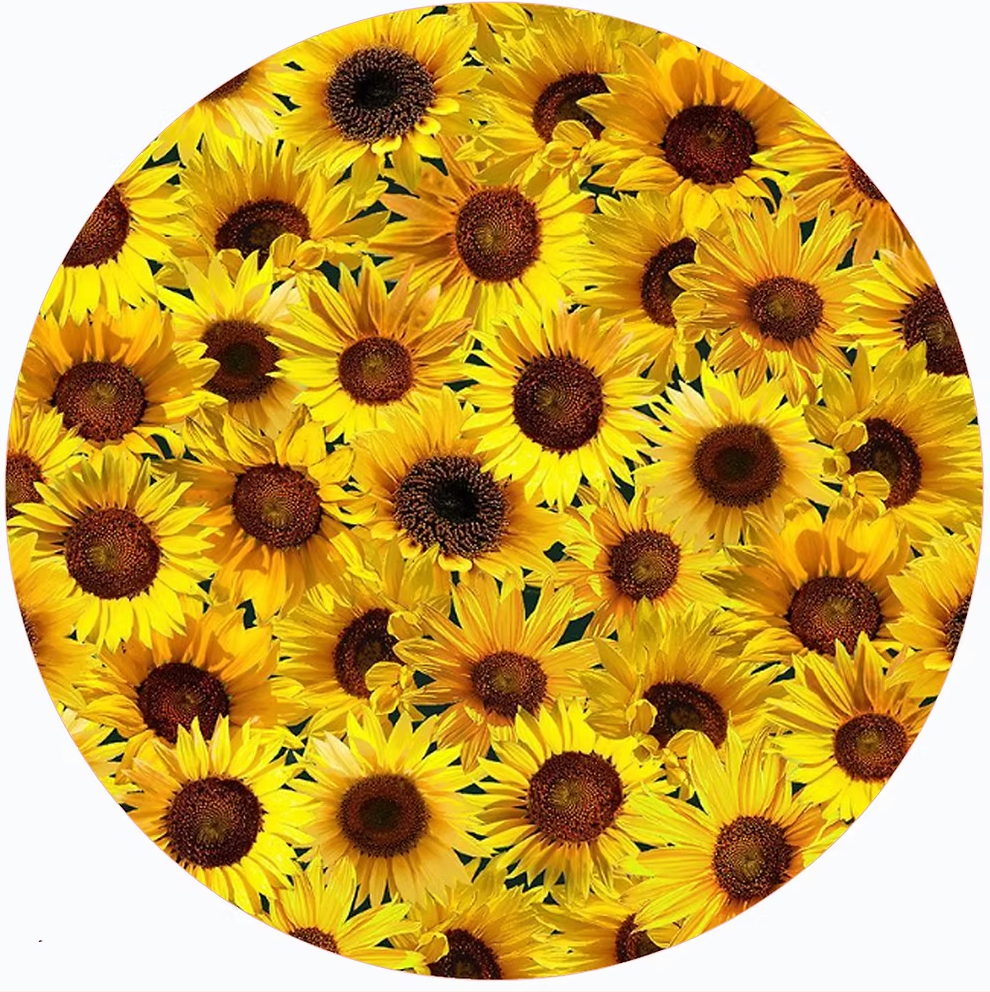 Jar Opener Black Eyed Susan