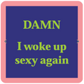 Coaster : Damn