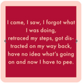 Coaster : I came, I saw