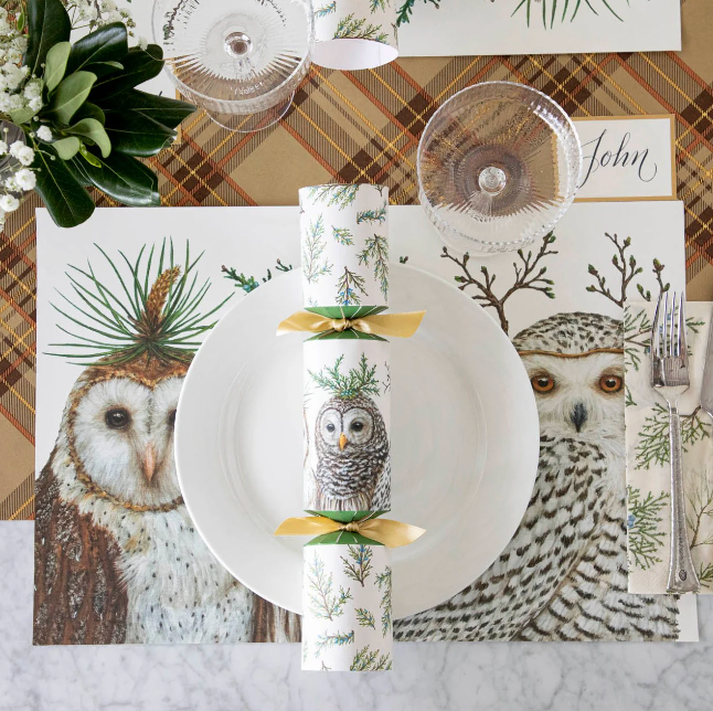 Winter Owls Placemat - 24 Sheets