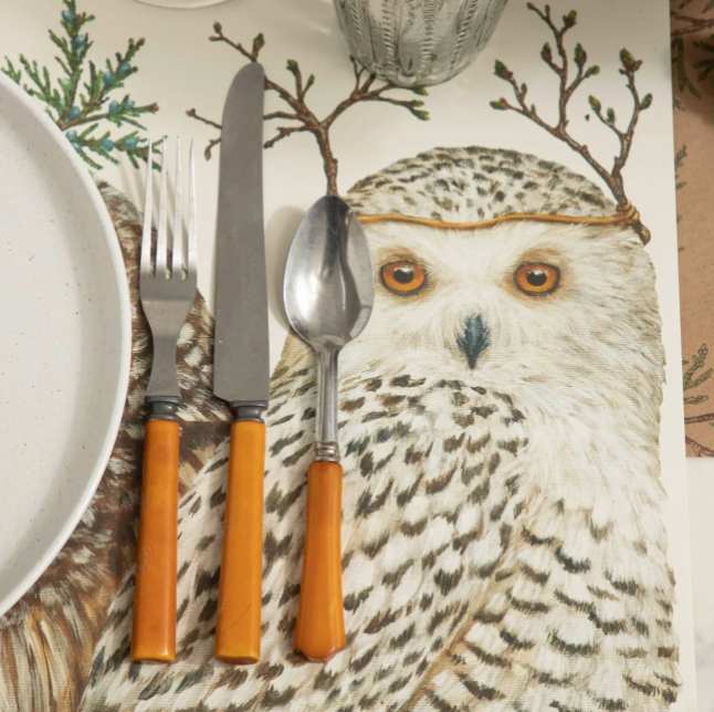Winter Owls Placemat - 24 Sheets