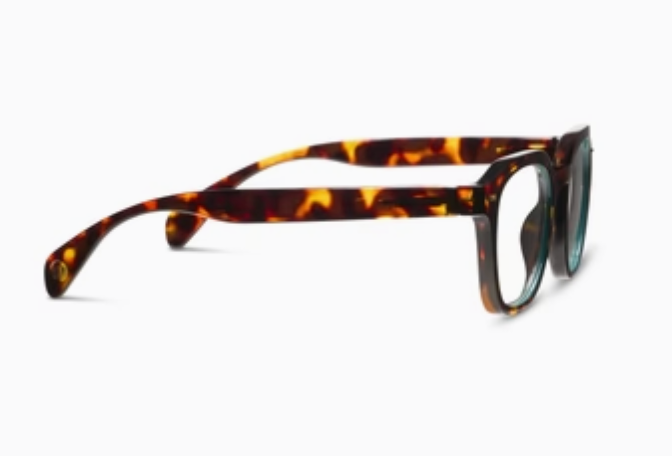 Neon - Tortoise