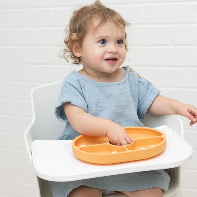 Fiesta Then Siesta Wonder Plate