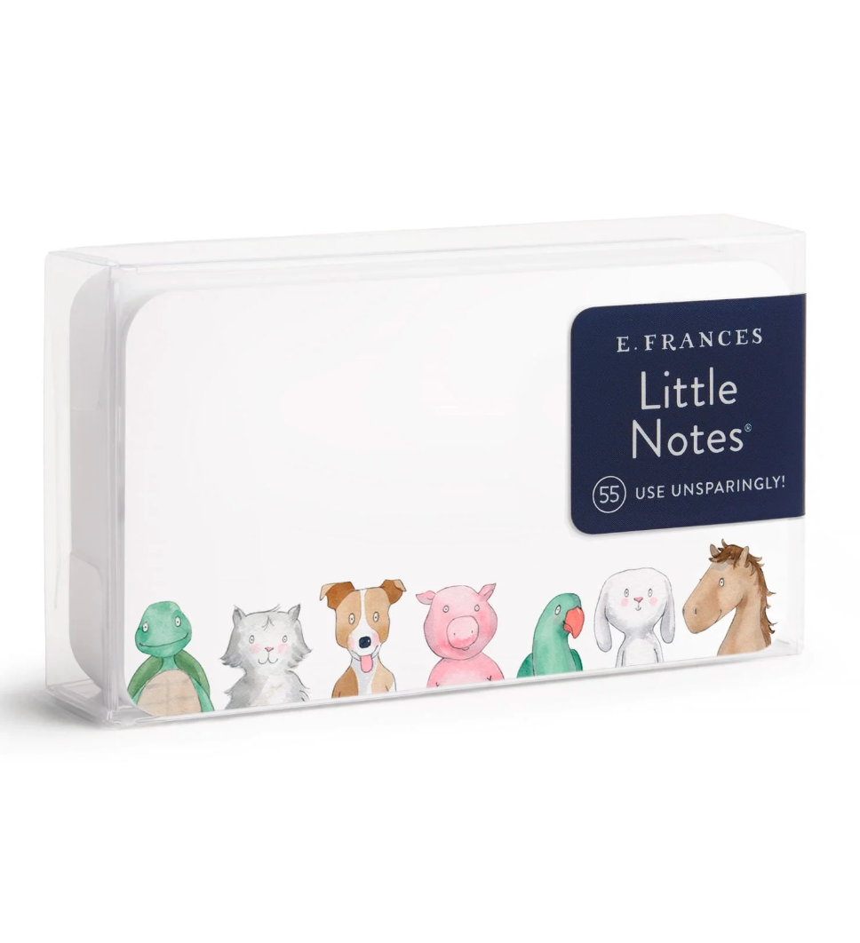 Little Notes® – Mini Notecard Pack, Set of 55