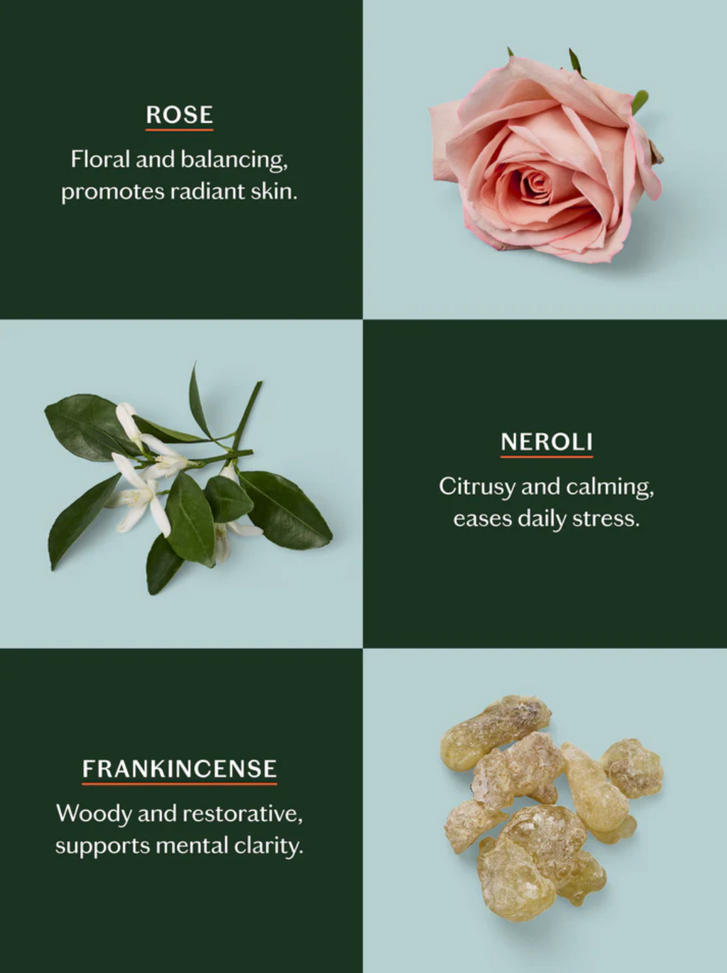 Daily Stone -- Deep Moisturizing Lotion Bar Starter Kit