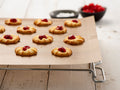 Reusable Parchment Liner