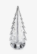 Crackle Evergreen