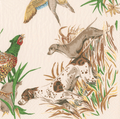 Luncheon Napkins :  Sologne