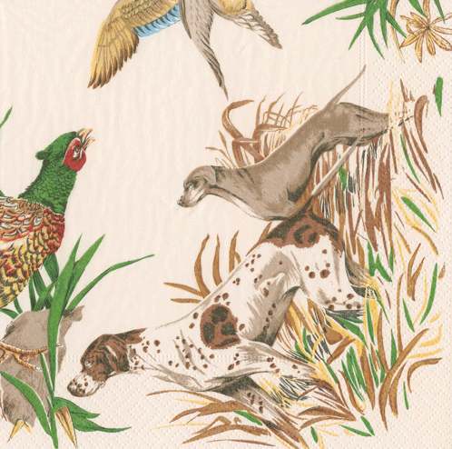 Luncheon Napkins :  Sologne