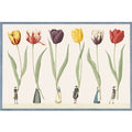 Tulip Parade Placemat Pad