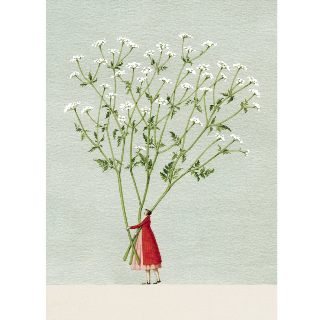 Cow Parsley Greeting Card