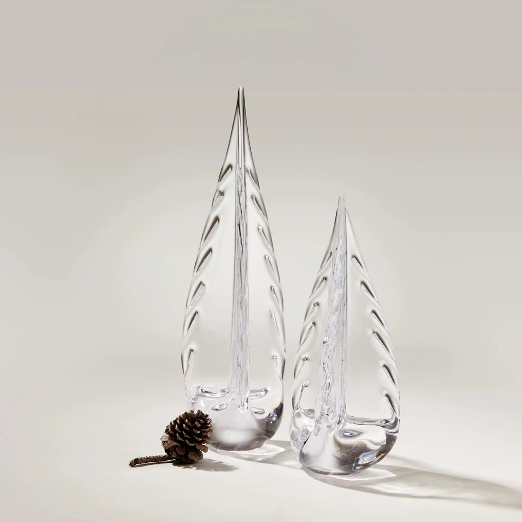 Ice Laden Evergreen