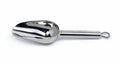 Scoop Small Stainless 1/4 c.