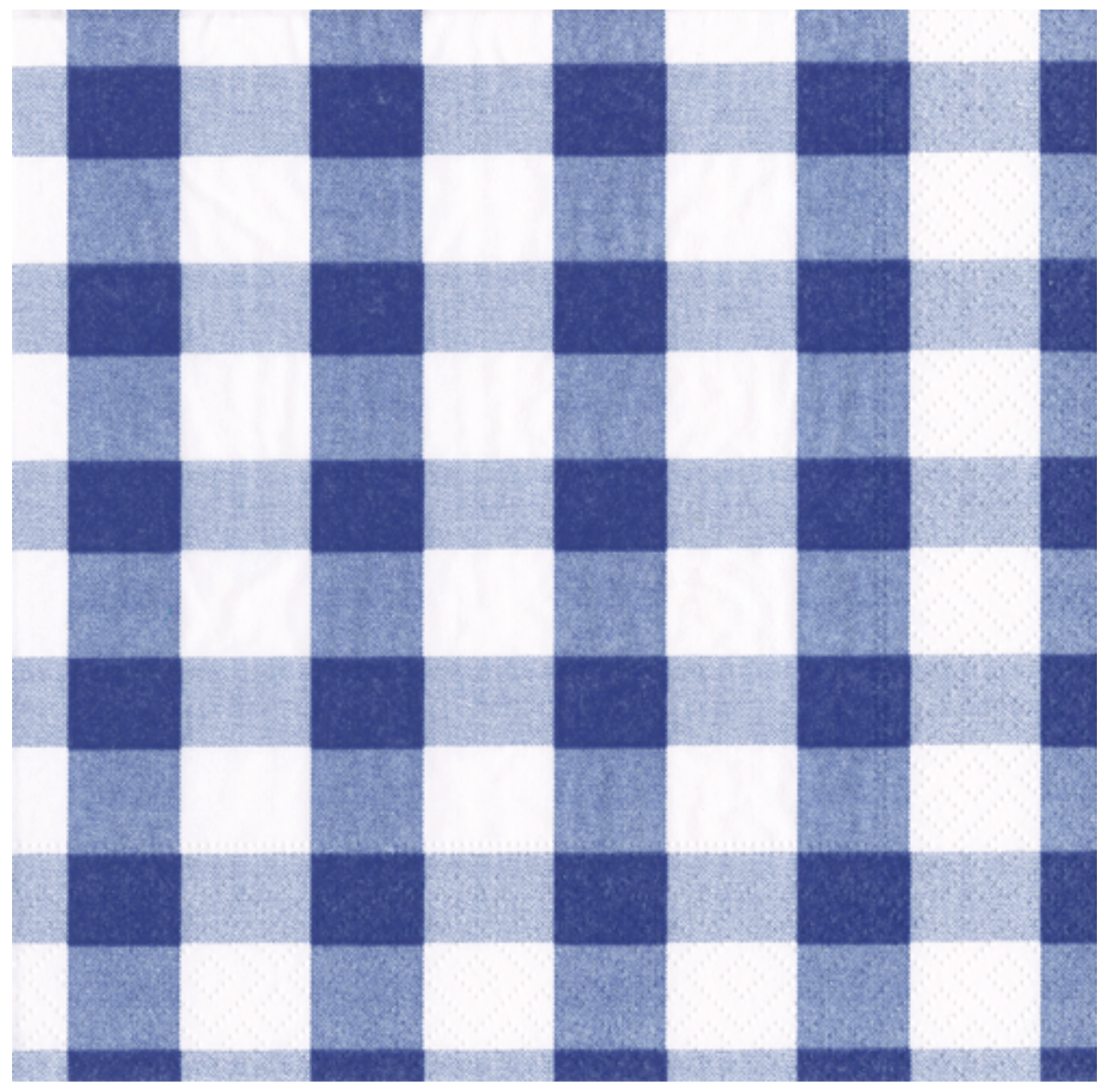 Luncheon Napkins : Blue Gingham