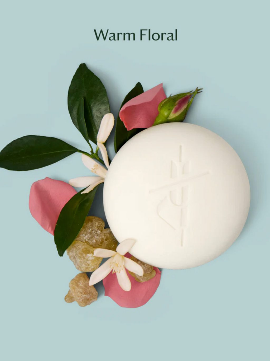 Daily Stone -- Deep Moisturizing Lotion Bar Starter Kit