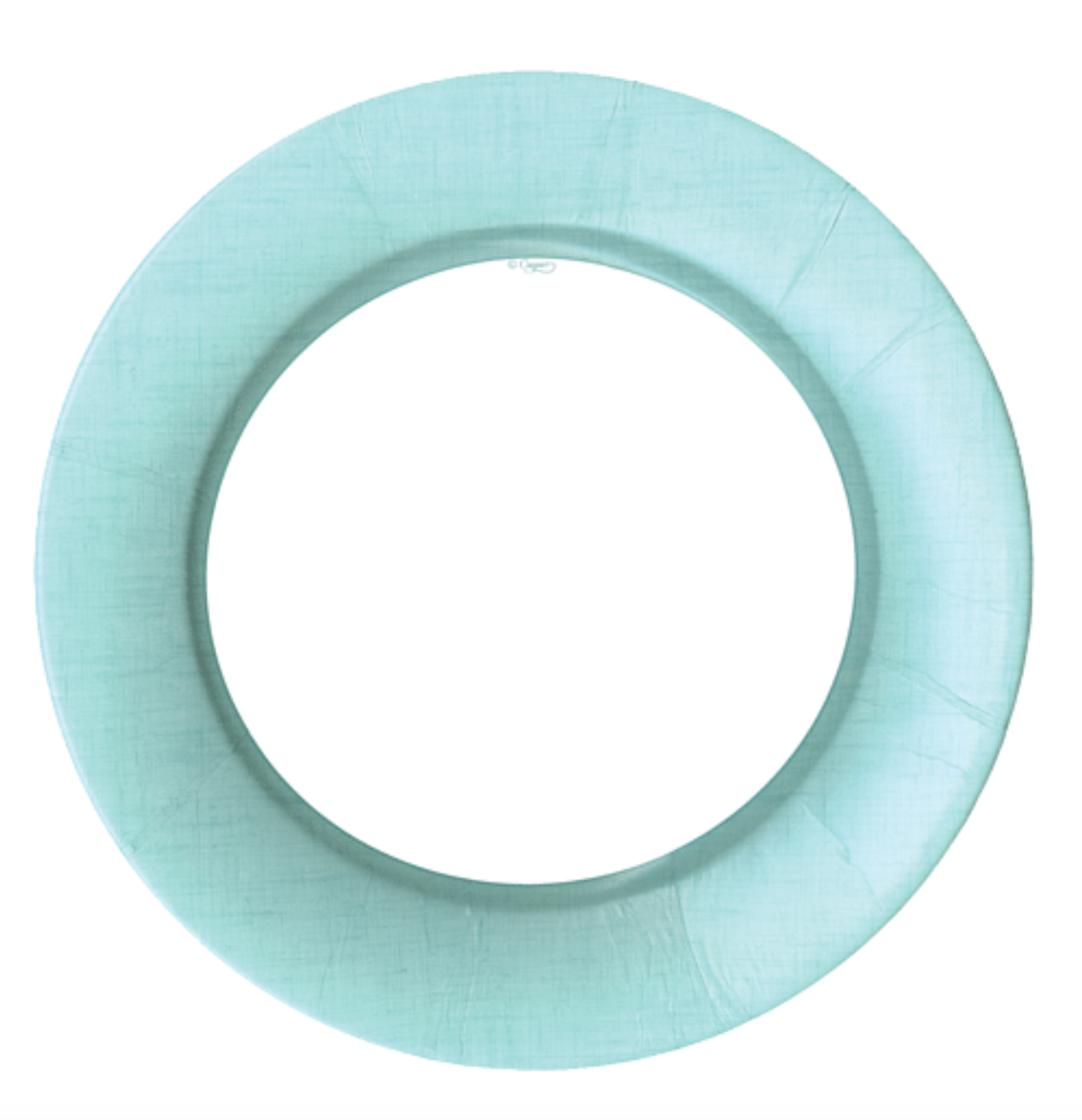 Dinner Plates : Robin’s Egg Blue Linen