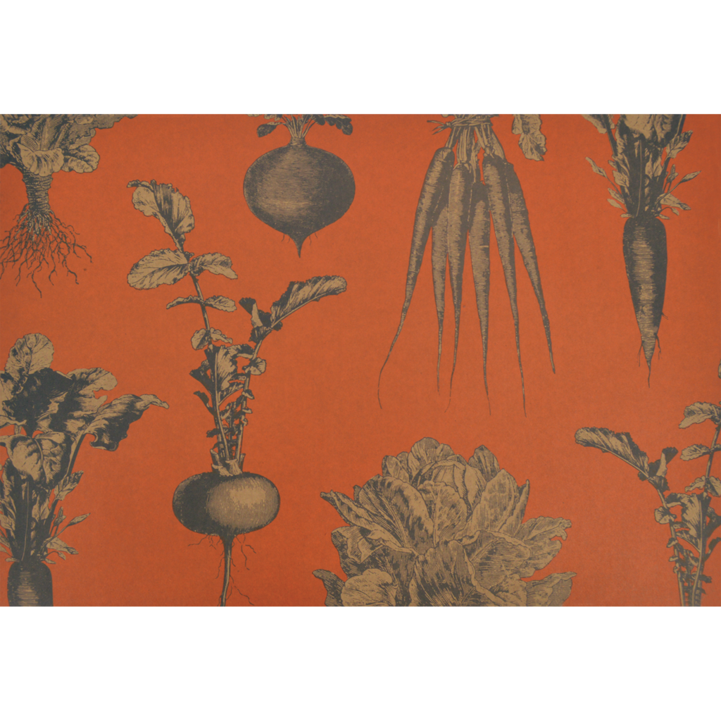 Harvest Vegetables Placemat - 24 Sheets