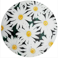 Jar Opener : Daisy