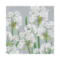 Luncheon :  Paperwhites Silver retired