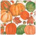 Luncheon Napkins : Pumpkin Field