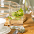 Walden Glass, Medium Set/4