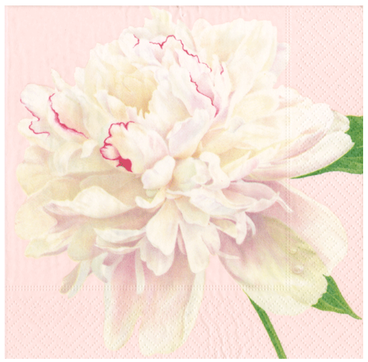 Luncheon Napkins : Duchess Peonies Blush