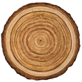 Die Cut Wood Slice Placemat - 12 Sheets