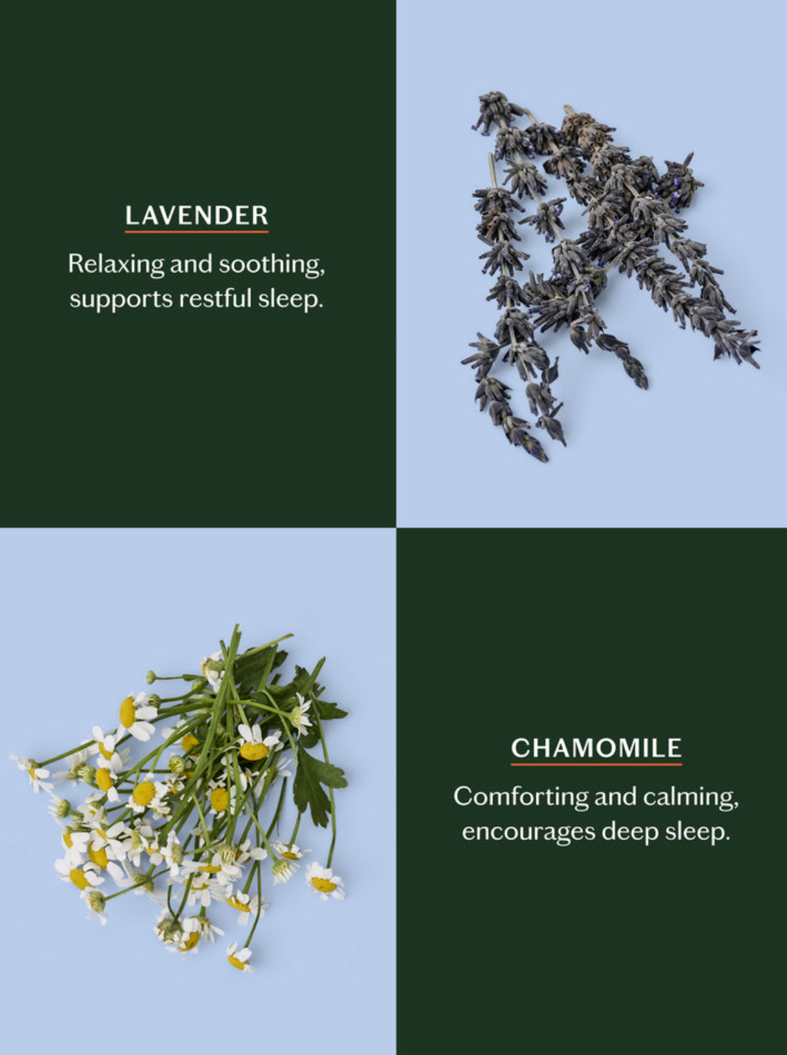 Sleep Stone -- Deep Moisturizing Lotion Bar Starter Kit