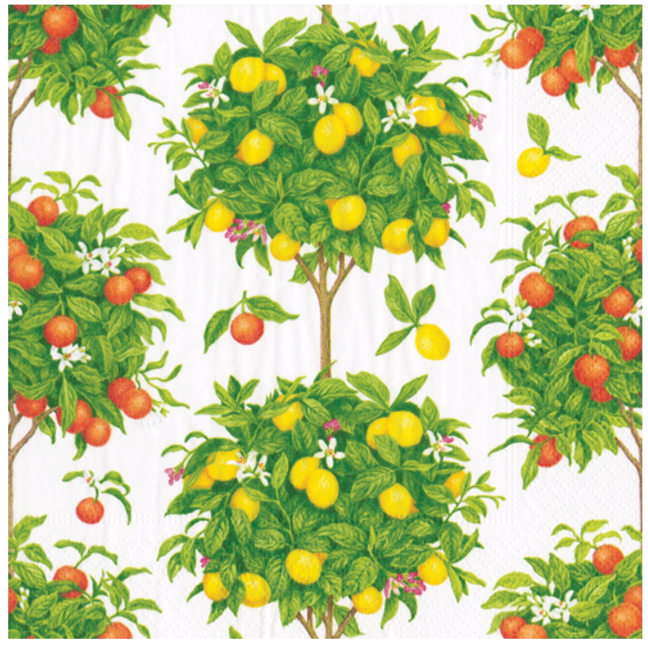 Luncheon Napkins : Citrus Topiaries