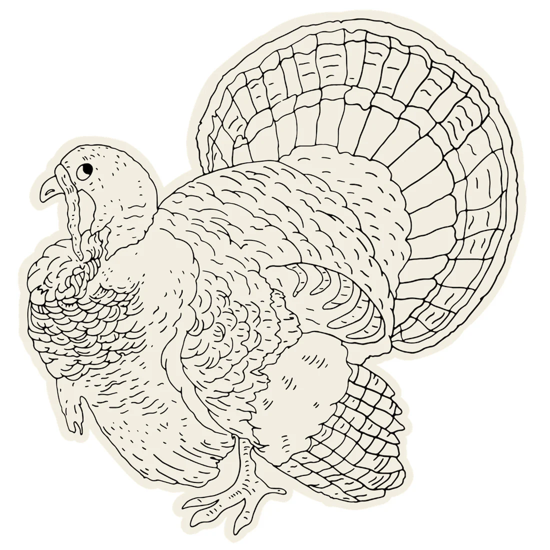 Die Cut Coloring Turkey Placemat - 12 Sheets