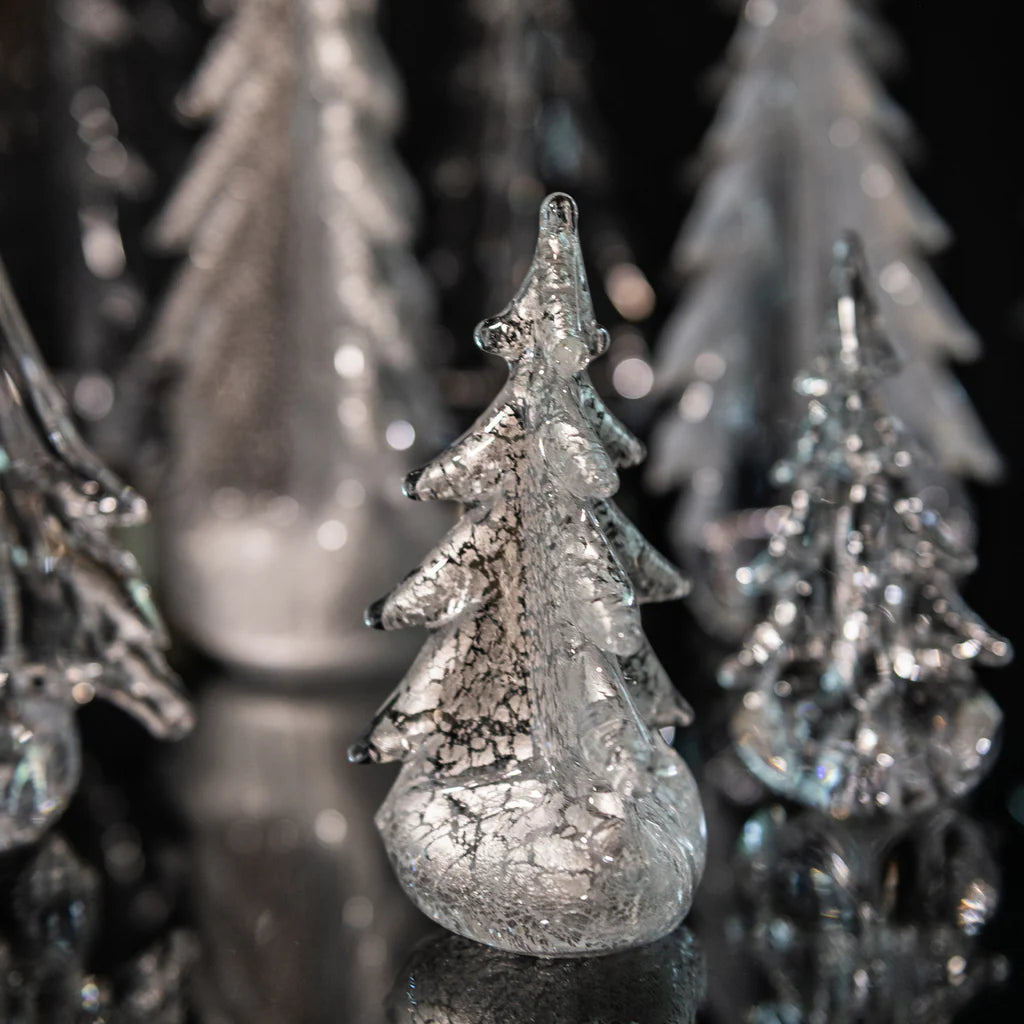 Silver Leaf Evergreen
