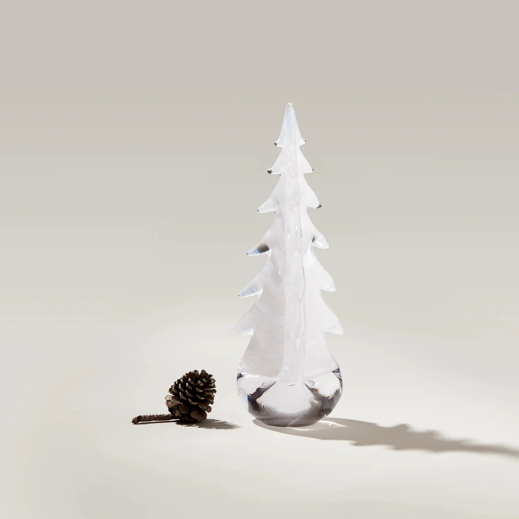 Snowdrift Evergreen
