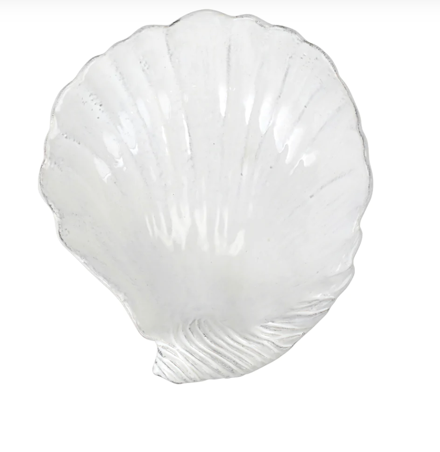 Acquatico Large Clam Shell Retired 2023
