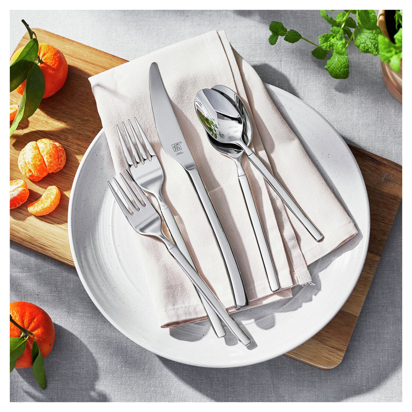 Opus Stainless 45pc Flatware Set